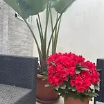 Blumoon Boutique Отель типа 