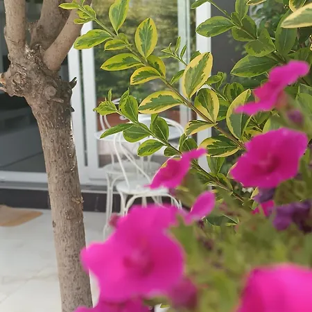 Blumoon Boutique アンドリア