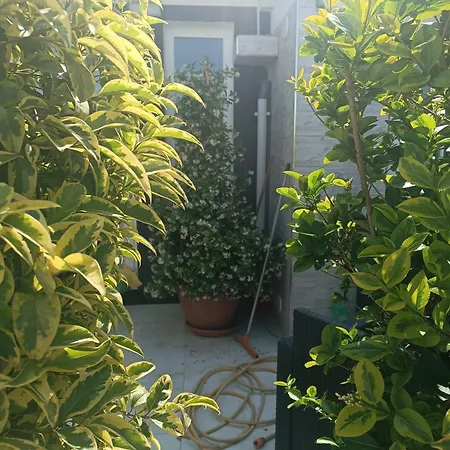 Bed & Breakfast Blumoon Boutique *