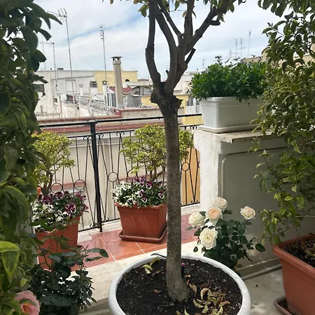 Bed & Breakfast Blumoon Boutique 4*