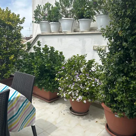 Blumoon Boutique Bed & Breakfast