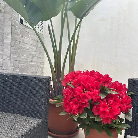 Blumoon Boutique ベッド・アンド・ブレックファスト 4*