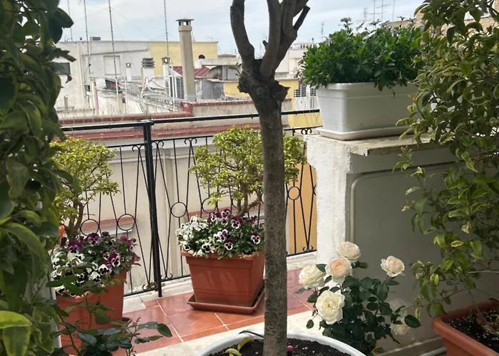 Bed & Breakfast Blumoon Boutique 4*