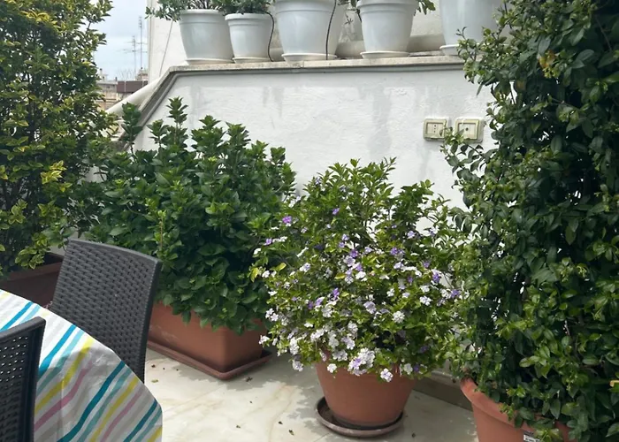 Blumoon Boutique Bed & Breakfast