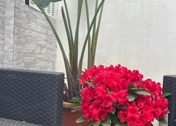 Blumoon Boutique Bed & Breakfast 4*